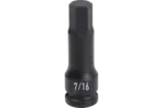 1/2 in. Drive Standard Depth Hex Bit Impact Sockets - SAE
