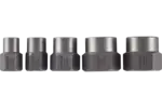 Bolt Extractor Sets
