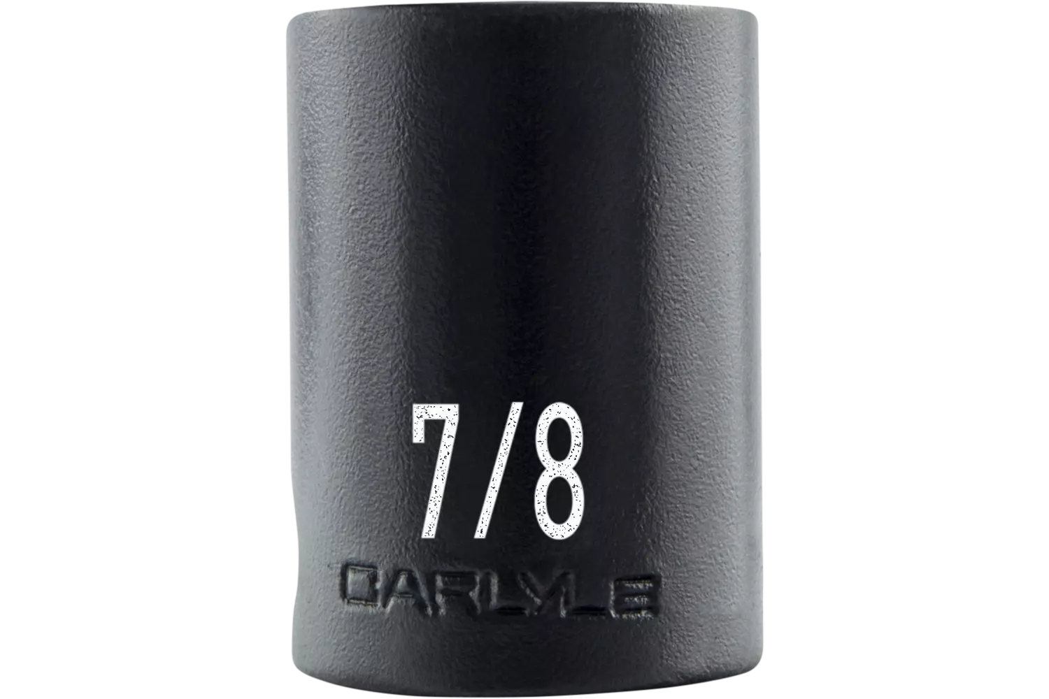 CIS3828
